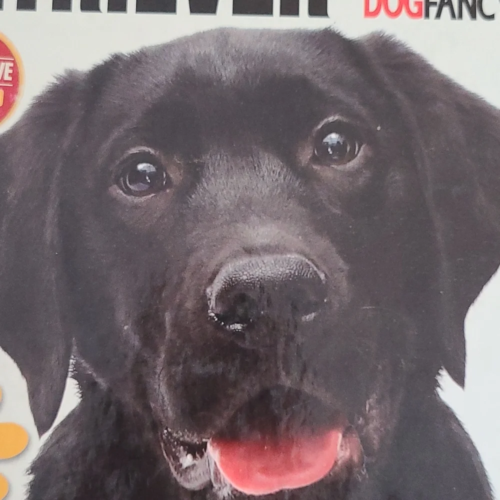 Labrador Retriever book from Dog Fancy magazine